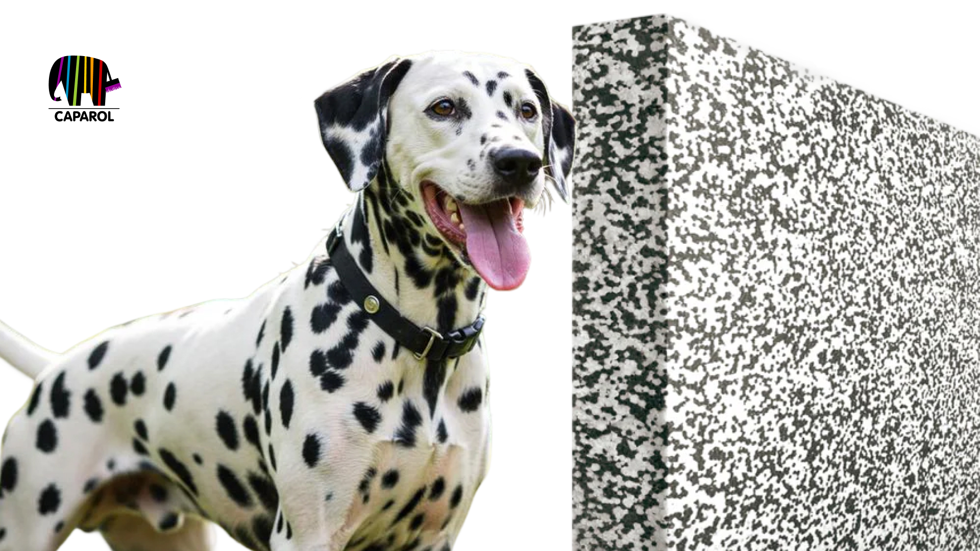 Плиты Dalmatina