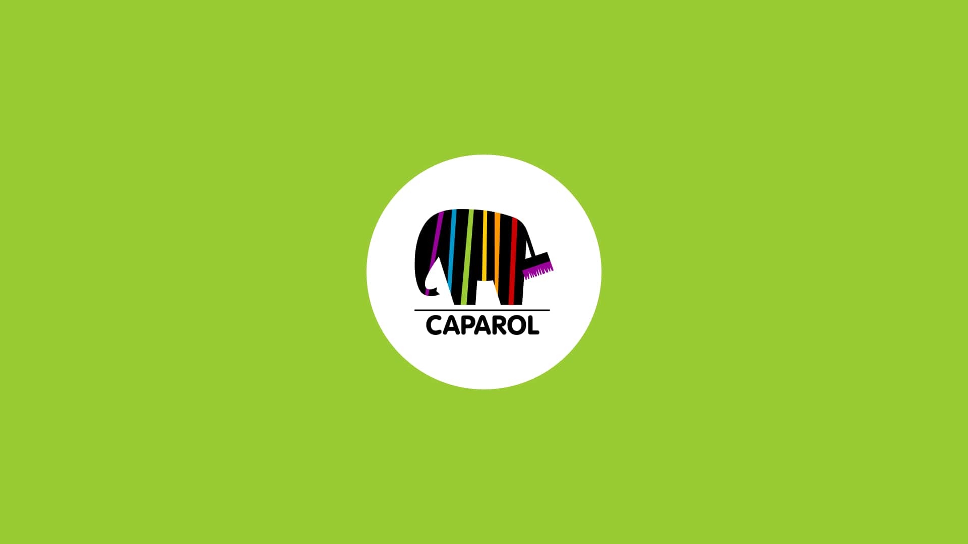 ПРЕДЛОЖЕНИЕ CAPAROL: ЗАЩИТА И ЭКОНОМИЯ ДЛЯ ВАШЕГО ДОМА